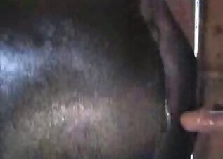 Girls bestiality porn