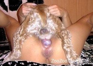 ZooZooTube