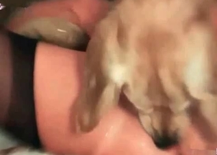 Juicy model is enjoying a fuck with a cur